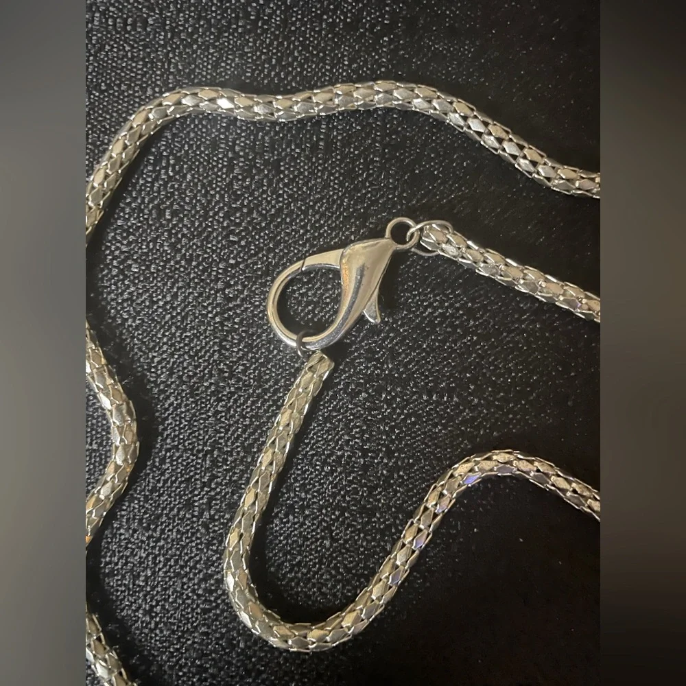 Scale Chain 24” + 1” Silver Costume Jewelry